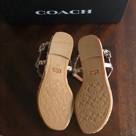 🌟COACH Thong Sandal🌟 - Picture 5 of 9